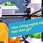 Công Nghệ Sinh Học Tên Tiếng Anh Là Gì