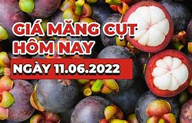 Giá Măng Cụt Hôm Nay