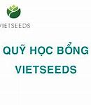 Học Bổng Vietseeds 2021 Là Gì ؟ * *